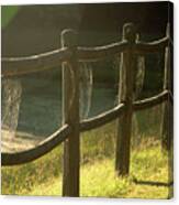Multiple Spiderwebs On Wooden Fence Canvas Print