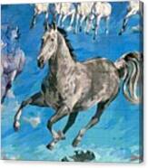 Mural Detail Equus Descending Canvas Print