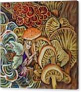 Mushroom Fairy Canvas Print