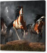 Mustangs Of The Storm Canvas Print