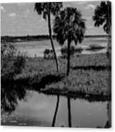 Myakka River Reflections Canvas Print