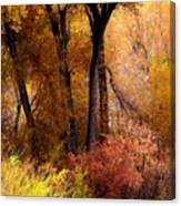 Mystery In Fall Folage Canvas Print