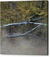 Mystery In The Fall Canvas Print