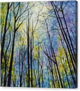 Mystic Forest Canvas Print