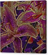 Mystic Lilies 8 Canvas Print