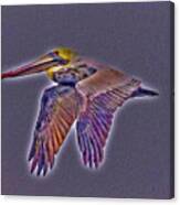 Mystical Brown Pelican Soaring Spirit Canvas Print