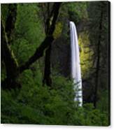 Mystical Waterfall Canvas Print