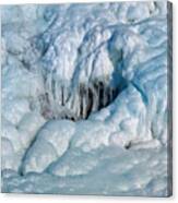 Natural Ice Sculpture Canvas Print