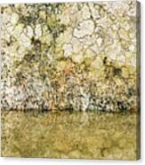Natural Stone Background Canvas Print