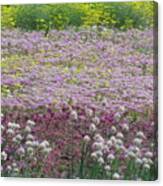 Nature Carpet Canvas Print