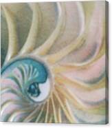 Nautilus #1, Embryo Canvas Print