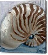 Nautilus Shell Canvas Print