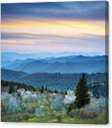 Nc Blue Ridge Parkway Landscape In Spring - Blue Hour Blossoms Canvas Print