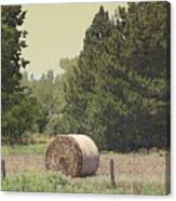 Nebraska Farm Life - Hay Bail Canvas Print