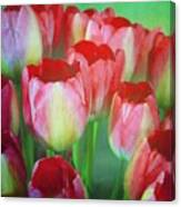 Neon Tulips Canvas Print