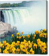 Niagara Falls Spring Flowers And Melting Ice Canvas Print