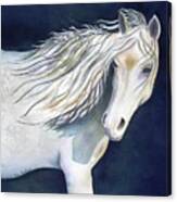 Night Horse Canvas Print