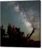 Night Pines At Crater Lake Canvas Print