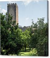 Ninfa Garden, Rome Italy 8 Canvas Print