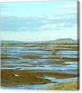 Nisqually Looking North Canvas Print