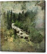 North Woods Canvas Print