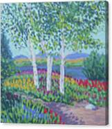 Northwest Tulips Canvas Print