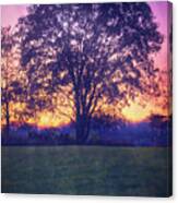 November Sunset And Lone Tree At Retzer Nature Center Canvas Print