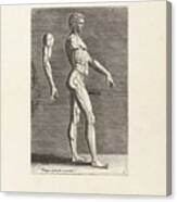 Anatomical Drawing Of Nude Man Walking To The Right Canvas Print