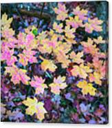 Oak Creek Canyon Fall Colors Canvas Print
