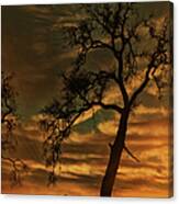 Oak Tree And Horse Sunrise Canvas Print