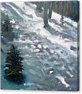 Observing Snow Canvas Print