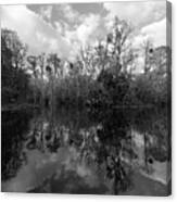 Ocklawaha Oxbow #2 Canvas Print