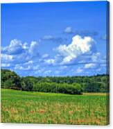 Oconee River Bottomland Canvas Print