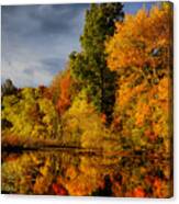 October Foliage Canvas Print