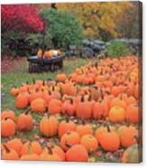 October Harvest Canvas Print