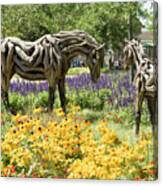 Odyssey The Horse And Hope The Colt Sculptures Made Of Driftwood Canvas Print