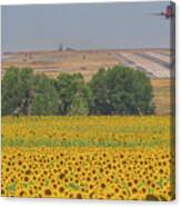 O'er Fields Of Gold Canvas Print