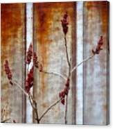 Of Rust And Rose Canvas Print