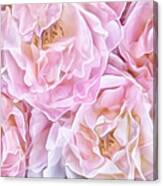 Oh So Delicate Rose Canvas Print