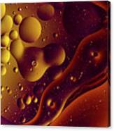 Oil And Water 11 Canvas Print