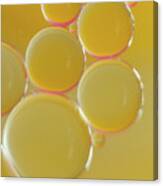 Oil Bubbles On Water Abstract Canvas Print