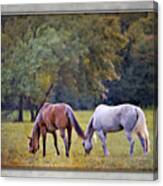 Ok Horse Ranch_2b Canvas Print