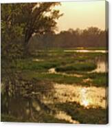 Okavango Delta Gold Canvas Print