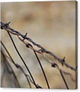 Old Barbed Wire In Brown Tones Canvas Print