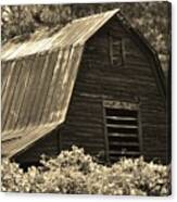 Old Country Barn Canvas Print
