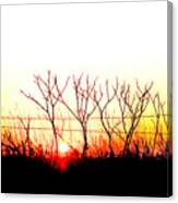 Old Fence Canvas Print