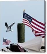 Old Glory And Gull Canvas Print