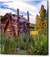 Old Lumber Mill Cabin Canvas Print