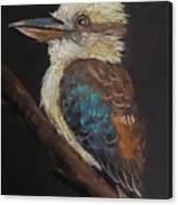 Old Man Kookaburra Canvas Print