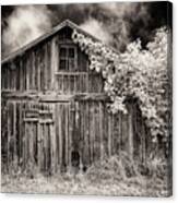 Old Shed In Sepia Canvas Print